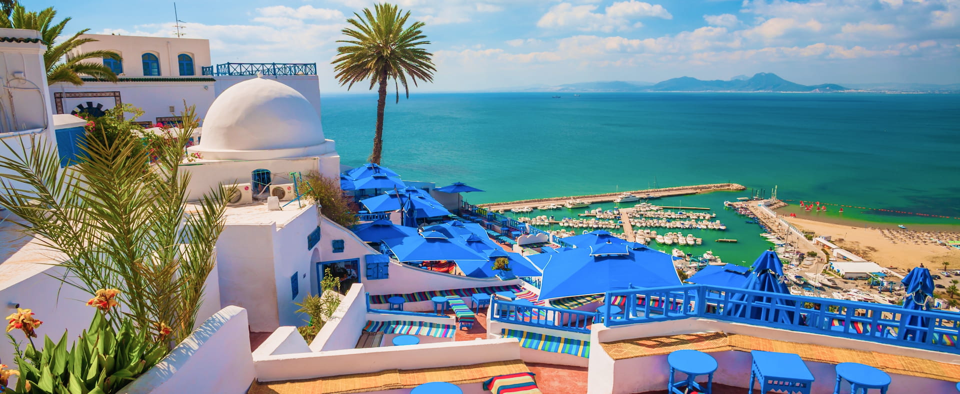 🇹🇳 Journée Magique : De la Médina de Tunis aux Charmeurs de Sidi Bou Saïd