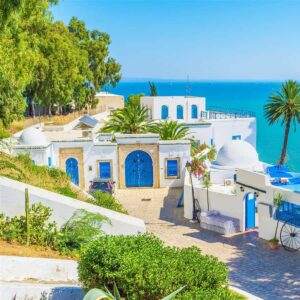 5e4ff140e2111 🇹🇳 Journée Magique : De la Médina de Tunis aux Charmeurs de Sidi Bou Saïd