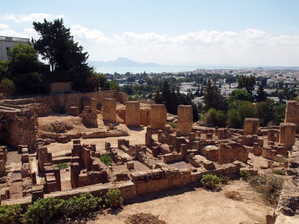 🇹🇳 Journée Magique : De la Médina de Tunis aux Charmeurs de Sidi Bou Saïd