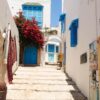 🇹🇳 Journée Magique : De la Médina de Tunis aux Charmeurs de Sidi Bou Saïd