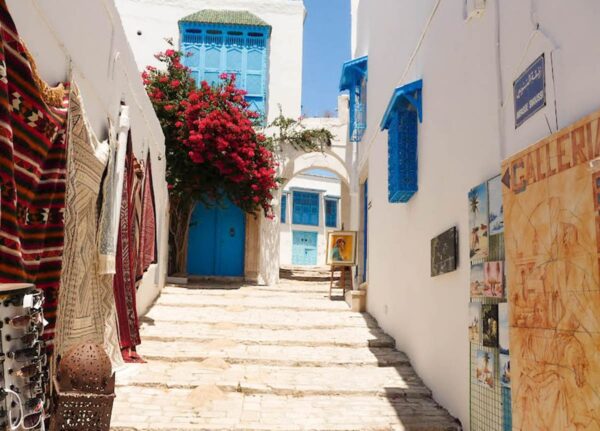 🇹🇳 Journée Magique : De la Médina de Tunis aux Charmeurs de Sidi Bou Saïd