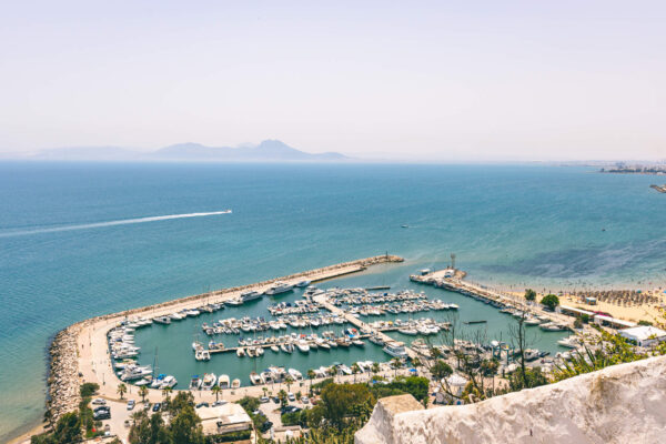 🇹🇳 Journée Magique : De la Médina de Tunis aux Charmeurs de Sidi Bou Saïd