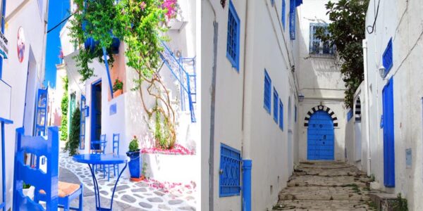 🇹🇳 Journée Magique : De la Médina de Tunis aux Charmeurs de Sidi Bou Saïd