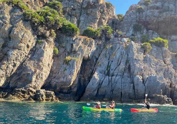 journée El Haouaria