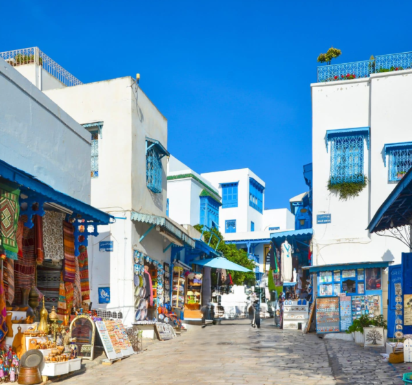 Excursion Tunis Carthage Sidi Bou Said médina de Tunis Excursion Tunis Carthage Sidi Bou Said médina de Tunis